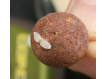 Extra Carp Boilie Stops