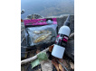 LK Baits - Predátor dipovaná rybička M