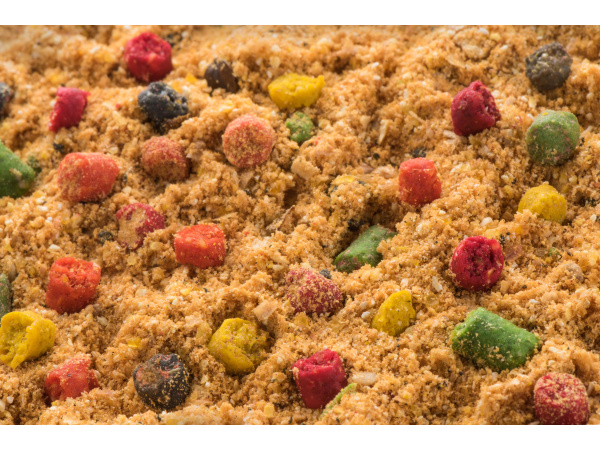 Mivardi R1 CARP - Scopex 1,4kg