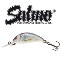 Salmo - Wobler Hornet sinking 2,5cm - Real Dace