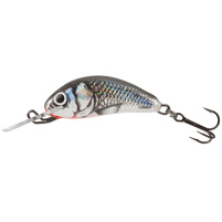Salmo - Wobler Hornet sinking 2,5cm - Holographic Grey Shiner