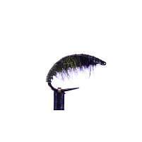 Blešivec Olivový - vel.14 - 1ks