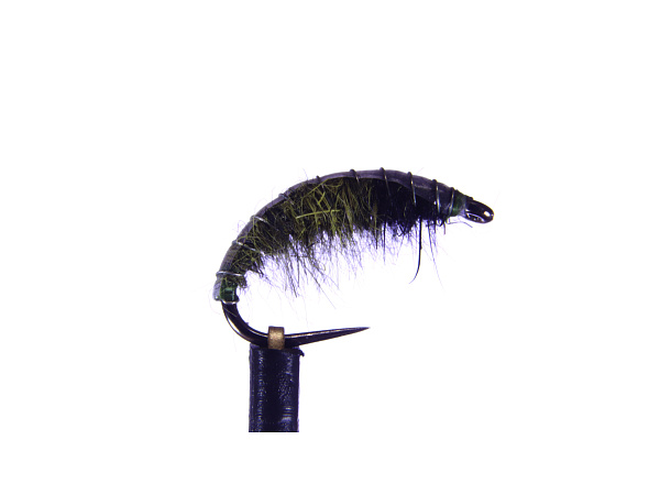 Blešivec Olivový - vel.14 - 1ks