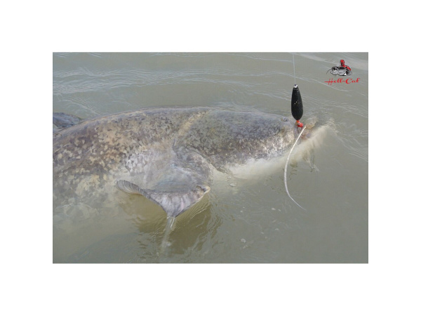 Hell-Cat Podvodní splávek černý