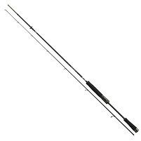 DAIWA - Prut Caldia Spin, 2,4m, 15-50g, 2D