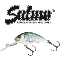 Salmo - Wobler Hornet sinking 5cm - Real dace
