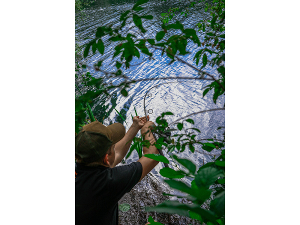 FOX - Prut Explorer Rod 8-10ft (2,4-3,0m) / 3lb / 2D Full Shrink