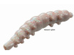 Berkley - Vosí larva Powerbait Honey Worm 55ks 2,5cm