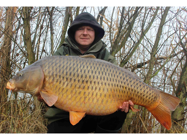 Mivardi Rapid Pop Up Reflex - Pineapple + N.BA. (70g | 18mm)