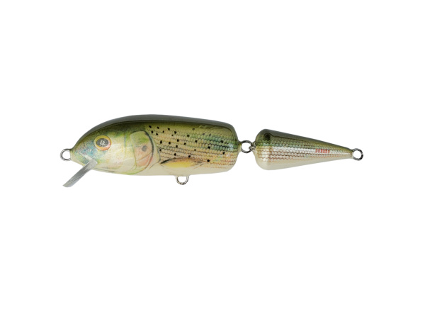 Dorado Bom-bon 13cm