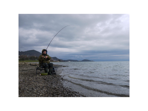 Giants fishing Prut Fluent MK2 Feeder