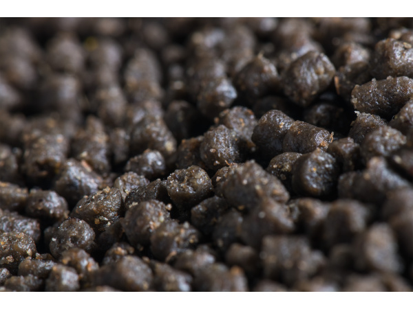 Mivardi Method pellets - Black halibut