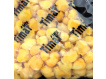 Timar Mix - Kukuřice natur zkvašená 1kg