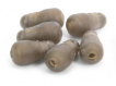 PRESTON INNOVATIONS - ICS Quick Change Beads Large