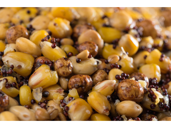 Mivardi Partikl mix premium 5kg