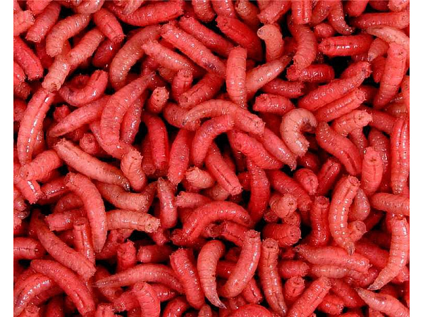 Mivardi Larva červená l (1L=600gr.)