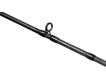 MIKADO - Prut Bixlite pike master 2,4m 30-105g, 2D