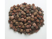 Rapid pelety - Multi mix (10kg)