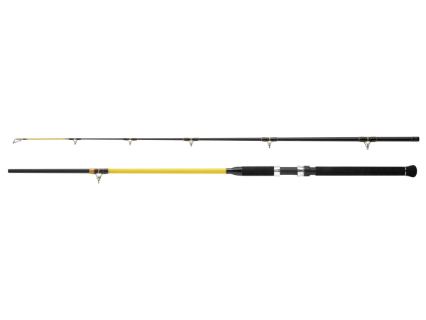 WFT - Prut NEVER CRACK Catfish boat LTC 2,7m / 250-1000g 