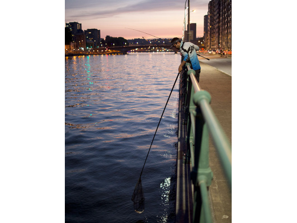 Fox Rage Fighter Landing Nets