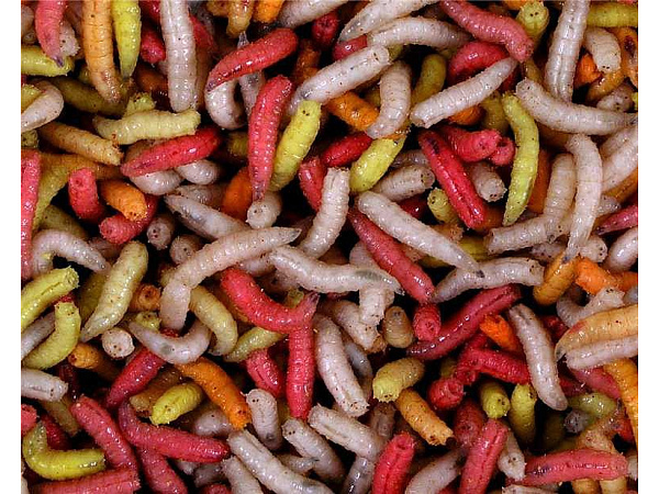 Mivardi Larva barevná ( krabička 1dcl )