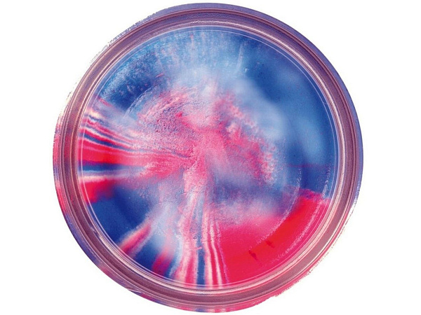 Berkley - Těsto Na Pstruhy Natural Glitter Troutbait