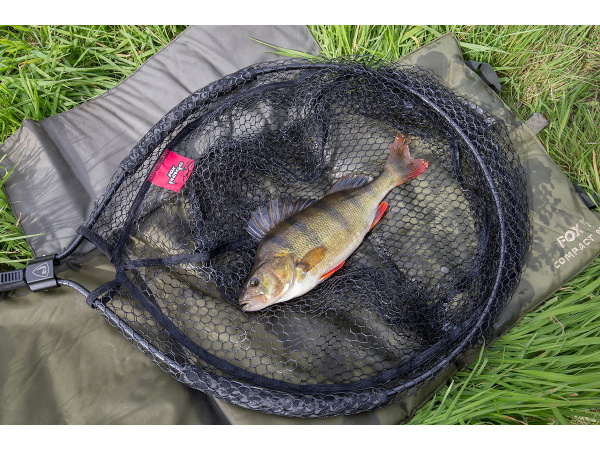 Fox Rage Fighter Landing Nets
