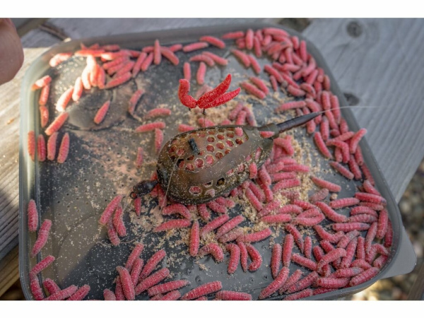 KORUM - Krmítko Camo Grub Feeders 