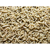 Mivardi Pinka bílá (1L=600gr.)