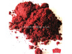Chytil - Robin Red HAITH´S ORIGINAL