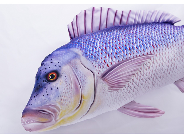 GABY - Polštář Zubatec Obecný 43cm