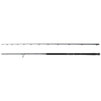 Savage Gear - Prut Defiance SG2 Shore Jig, 3.05m, 30-100g, 2D 