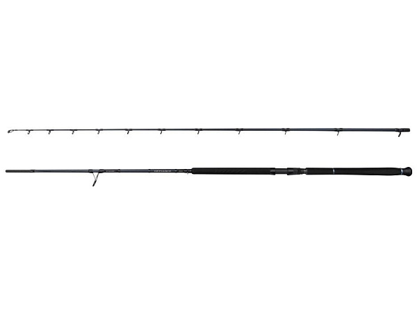 Savage Gear - Prut Defiance SG2 Shore Jig, 3.05m, 30-100g, 2D 