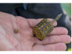 PRESTON INNOVATIONS - Krmítko ICS In-line cage feeder MEDIUM