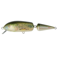 Dorado Bom-bon 13cm - TH