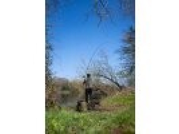 KORUM - 3K Trilogy Triple Tip 3,66 m 1,75 lb/2,2 lb/1,5 lb Power Quiver, 3D