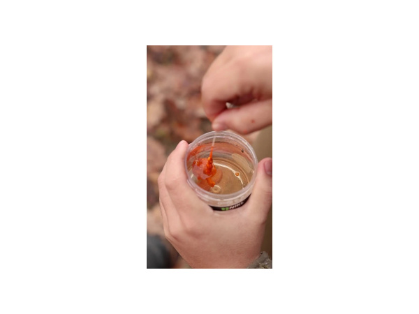 Nikl Práškový dip Chilli & Peach 60g