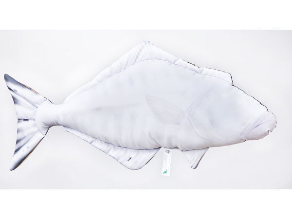 GABY - Polštář Halibut 72cm