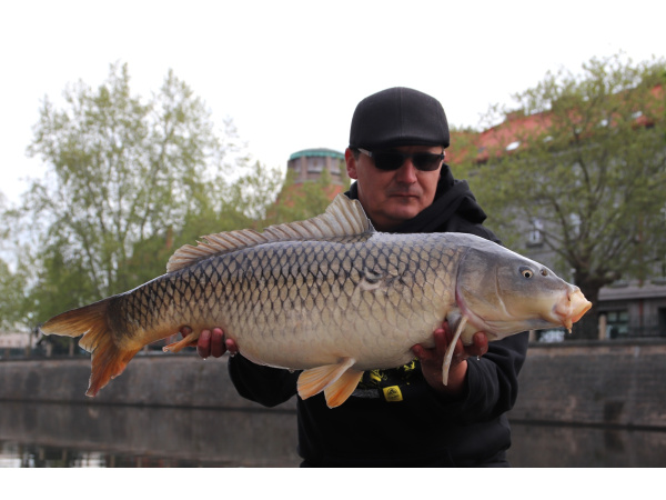 Mivardi Rapid Boilies Easy Catch - Česnek + Chilli (3300g | 24mm)