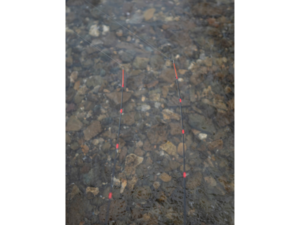 Giants fishing Prut Fluent MK2 Feeder