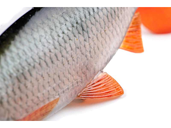 Fox Rage Ultra-Realistic Roach Replicant