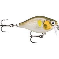 Rapala wobler X-Light Crank Shallow Runner Floating, rattling 4g 3,5 cm AYU
