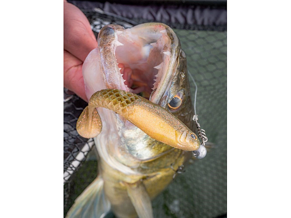 Berkley - Set Nástrah PowerBait Cullshad Mixpack, 15cm, 3ks, Darkwater