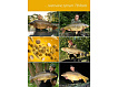 TB Baits Boosterované Boilie Corn 120 g - 24 mm