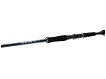 DAIWA - Prut Sealine Pilk, 2,25m, 80-125g, 2D