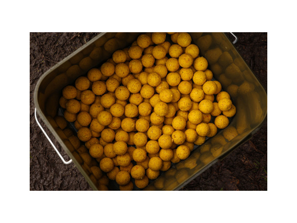 Nikl Ready boilie Corn