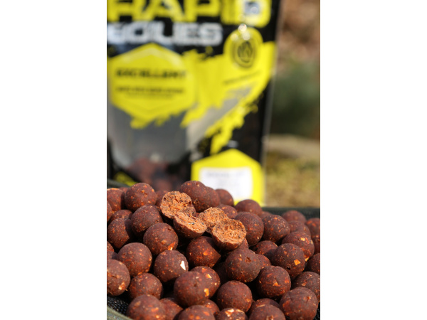 Mivardi Rapid Boilies Excellent - Kapří guláš (950g | 16mm)
