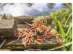 KORUM - Krmítko Camo Grub Feeders 