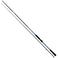 DAIWA - Prut Triforce Pike, 2,40m, 30-70g, 2D