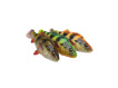 SAVAGE GEAR - Nástraha 4D Perch shad 12,5cm / 23g